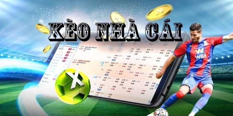 Cách chơi cá độ bóng đá online nhà cái uy tín